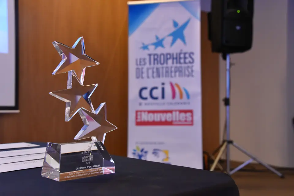 Trophée présenté lors des Trophées des Entreprises