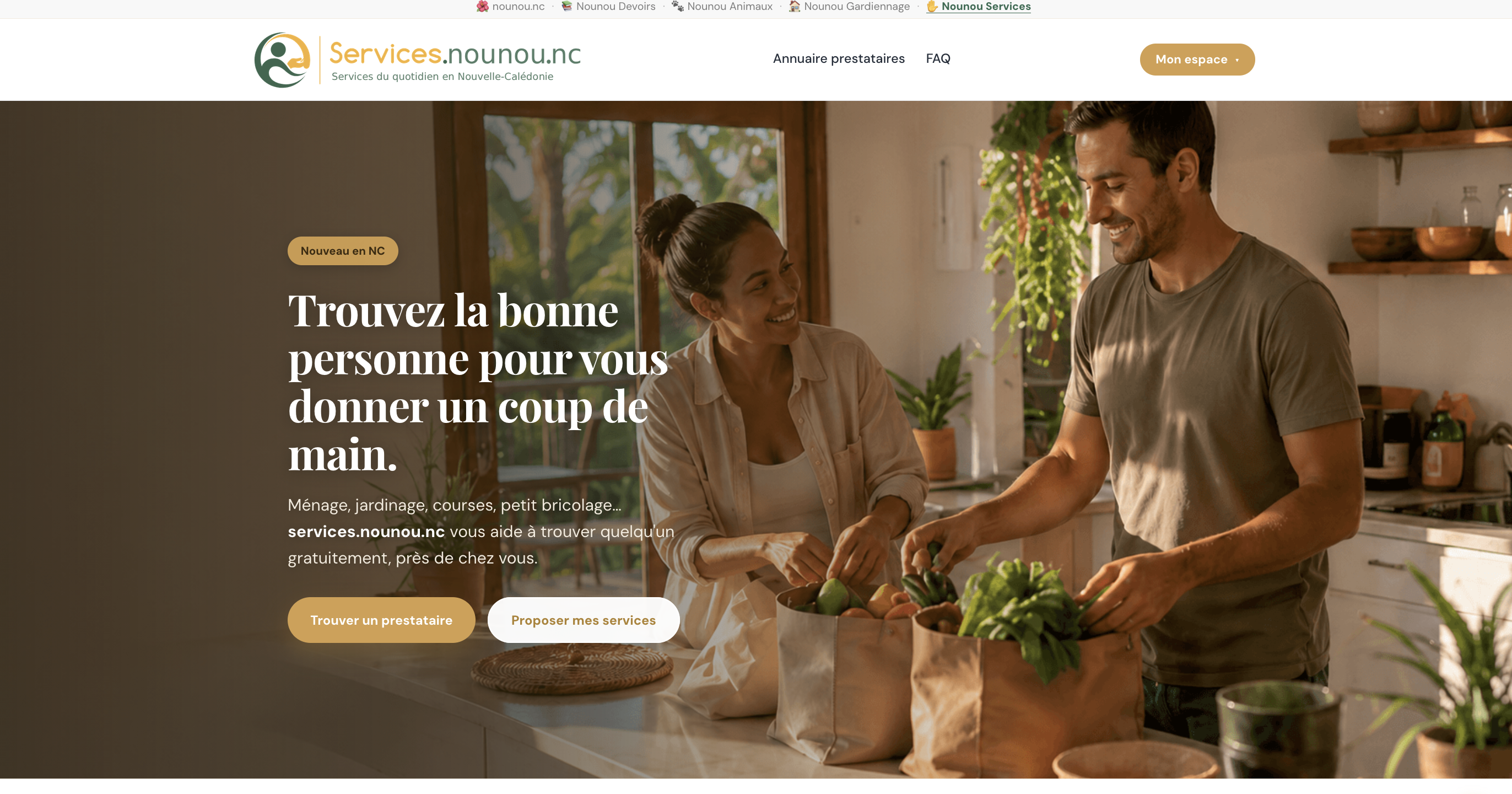 Capture de la page d’accueil de services.nounou.nc